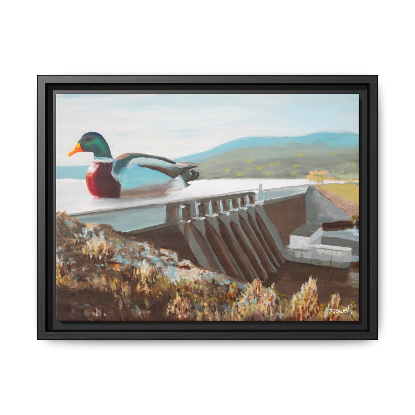Beaver Lake Duck