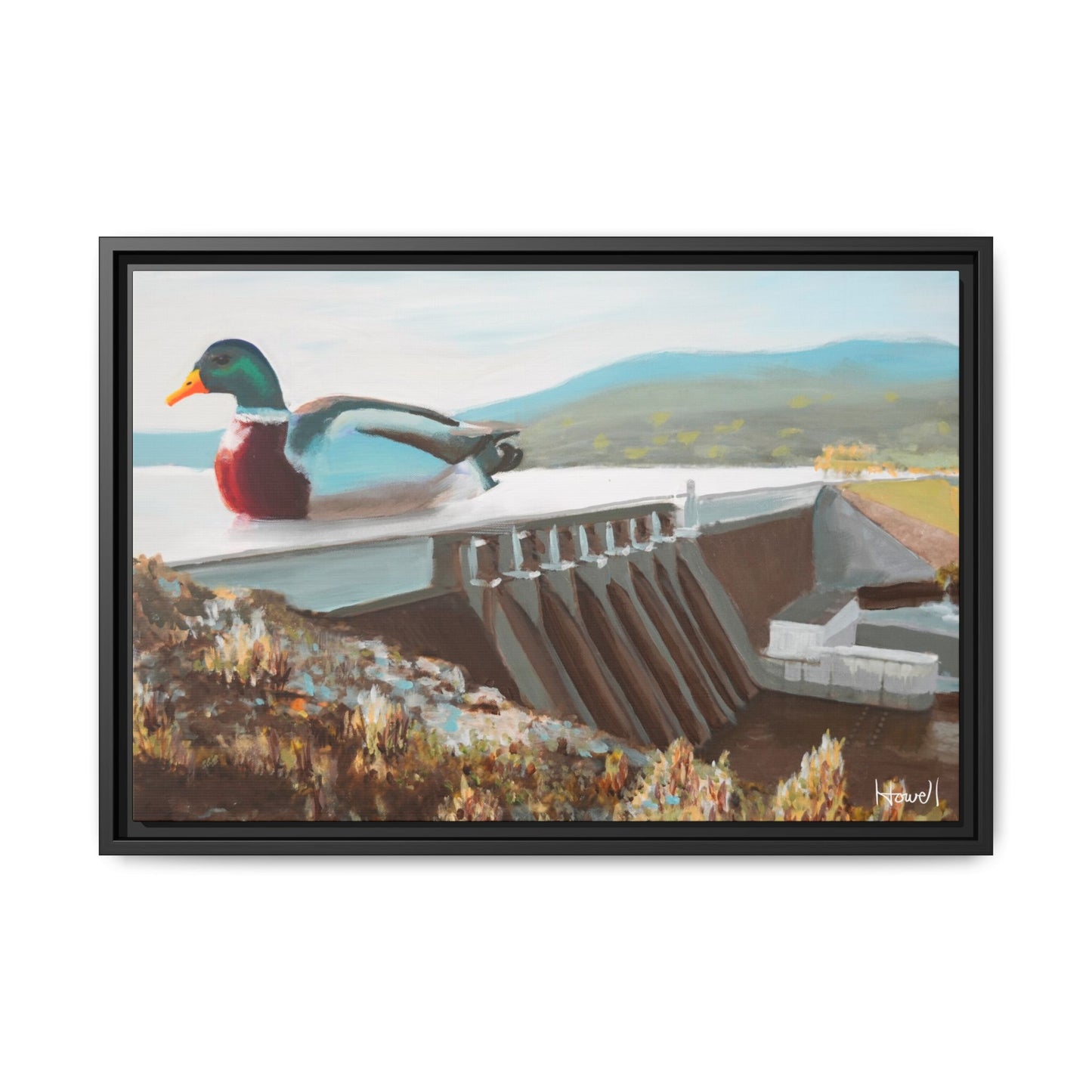 Beaver Lake Duck
