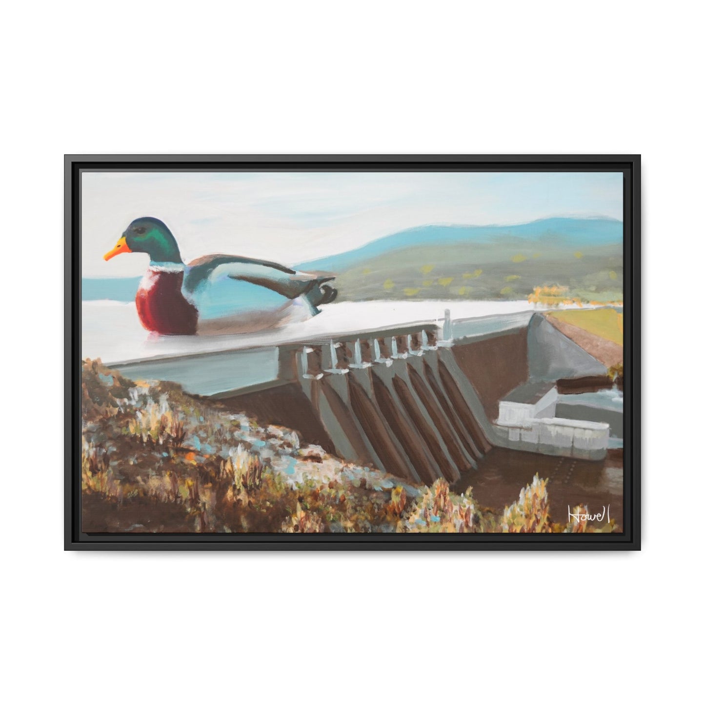 Beaver Lake Duck