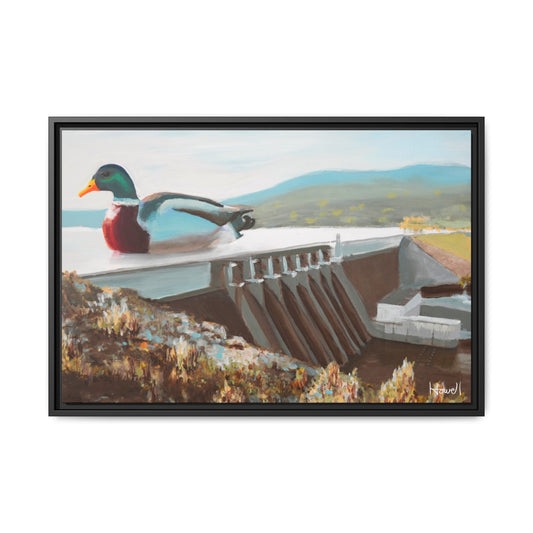 Beaver Lake Duck
